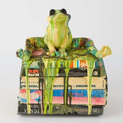 Abstract Frog on Books
